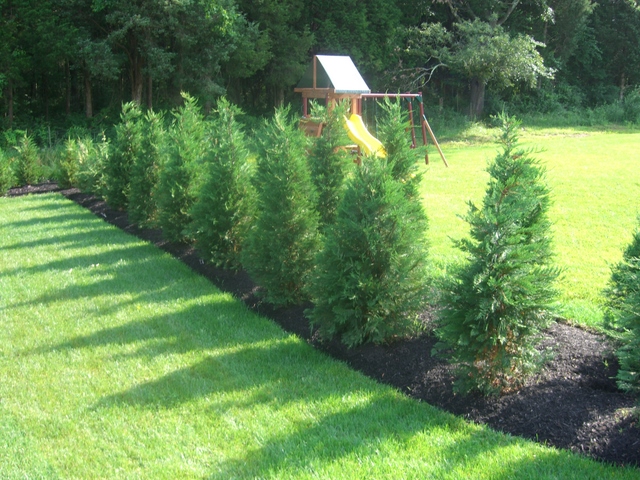 D&D Lawn Service, Inc